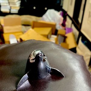 Dolphin card or picture holder